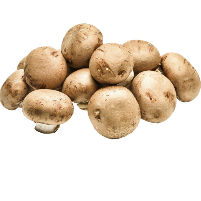 Ciuperci Champignon Brune Vrac