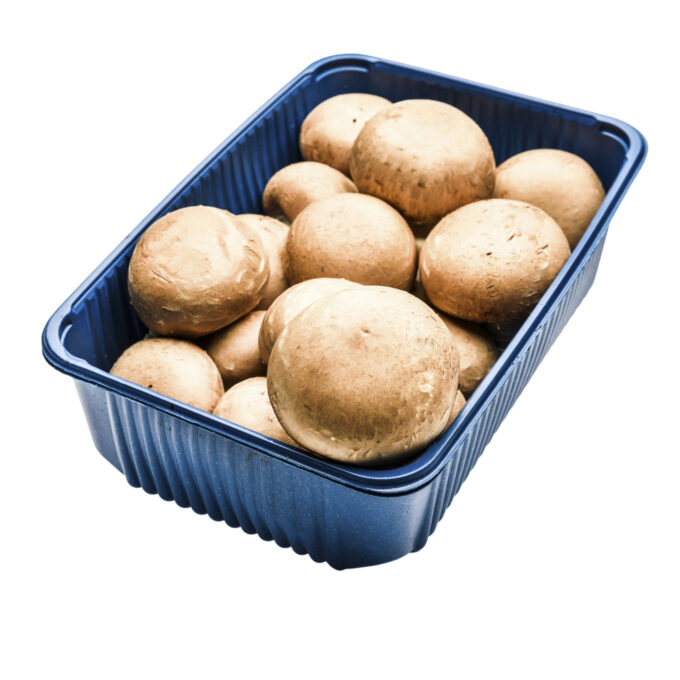 Ciuperci Champignon Pentru Gratar