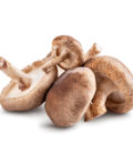 Ciuperci Shiitake