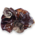 Ciuperci Urechi de Lemn
