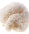 Ciuperci Pom Pom